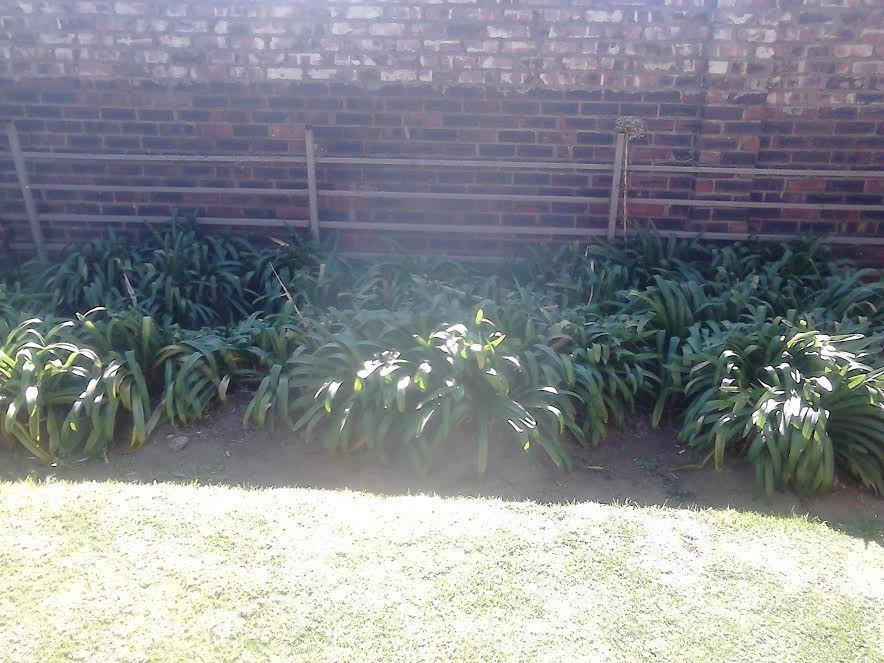 La Picasso Guesthouse Ermelo Exterior photo